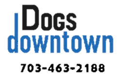 Dog's Downtown